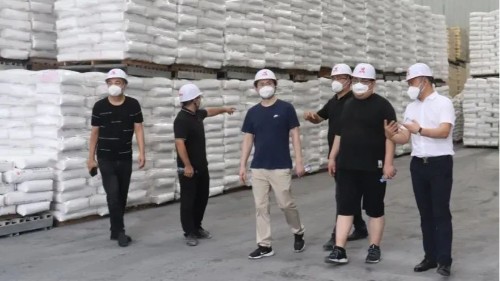 中海领潮供应链领导参观考察bg大游