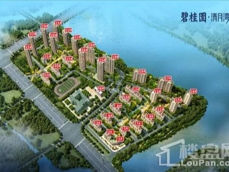 驻马店碧桂园清月湾选用bg大游轻质抹灰石膏