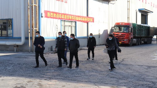 华发股份郑州华发峰景湾领导参观考察bg大游