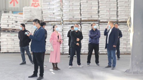新蒲建设集团领导参观考察bg大游