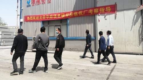 龙居华府项目领导参观考察bg大游